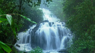 Waterfalls in Kerala