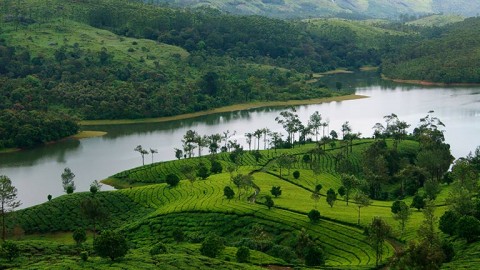 মুন্নার