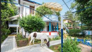 Click here to view the details of Johnson's Homestay