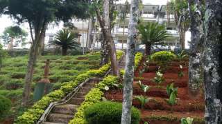 Click here to view the details of Brooklyn Palace Resort and Spa