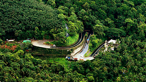 ওয়ানাড